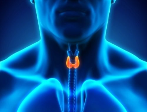 Understanding Thyroid Issues