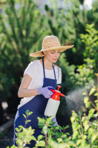 Woman spraying garden