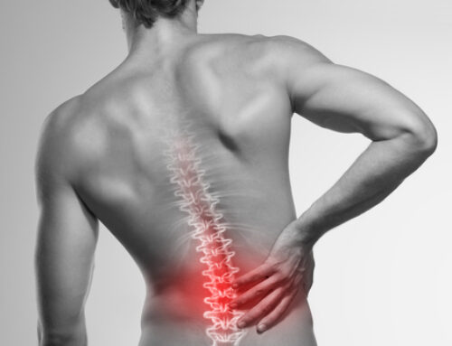 Fix Your Back Pain