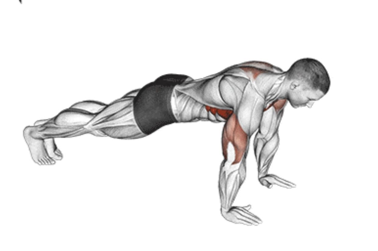 Push Ups Exercise Workout, Benefits, Muscles Worked 2023