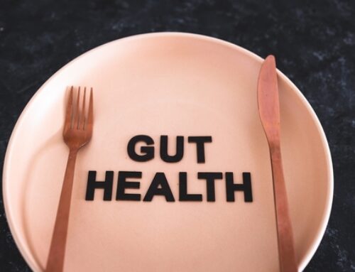 The Role of the Gut Microbiome and Your Health