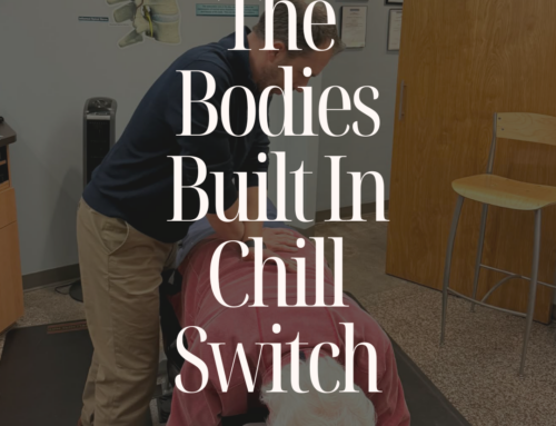 Your Vagus Nerve: The Body’s Built-In Chill Switch