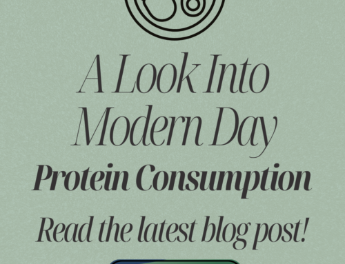 A Look Into Modern-day Protein Consumption